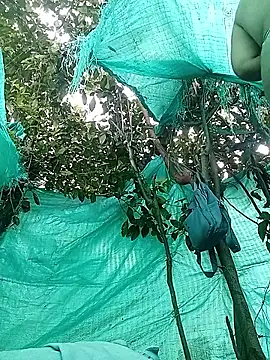 single_kitten webcam