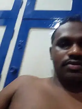 Tirunelvelipaiyan webcam