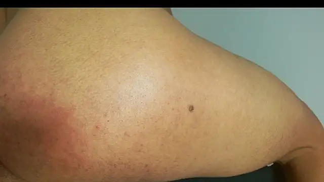 alejandrofoxnoir18 webcam