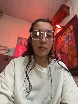 SALOME_KORLAND webcam