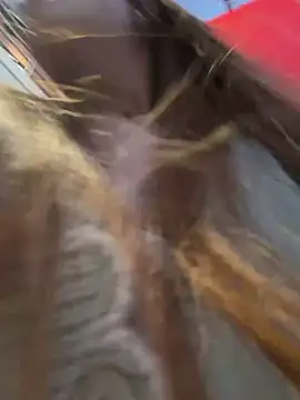 live sex web cam Alana15