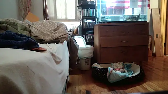 jumpingtomflash live sex cam