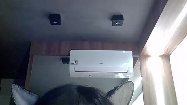 SkinnyKitten webcam