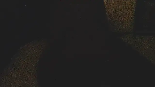 liandragostosa webcam