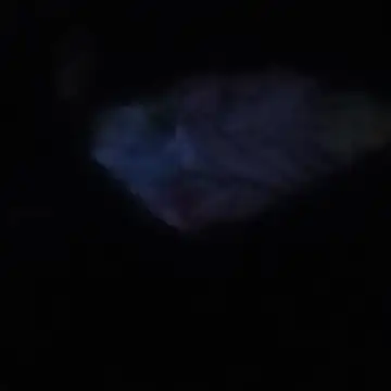 ScrawnyMotor3 webcam