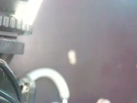 bellacrespalatina webcam