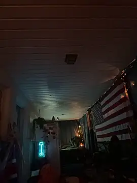 Integrityofsin webcam