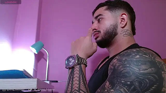 king_falconer webcam