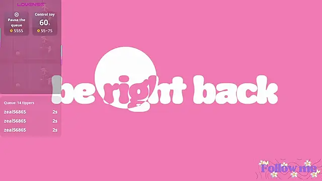 milita_houston webcam