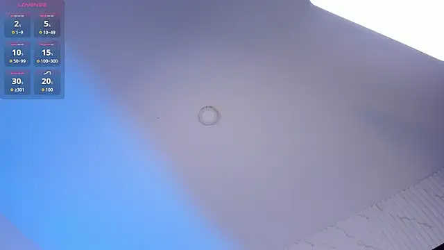 JanneBlossom_ webcam