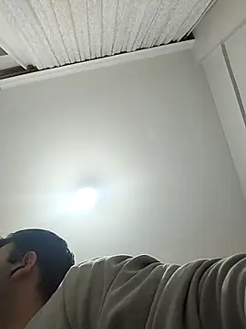 Beyefendistannbul webcam