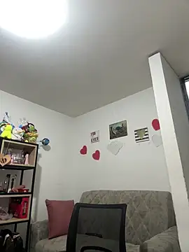 Celestedubois webcam