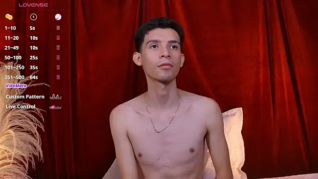 VicenteFerrer webcam