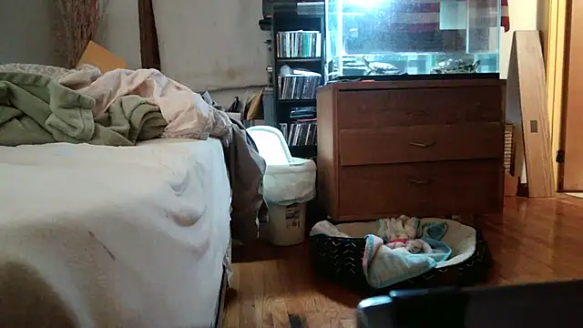 jumpingtomflash webcam