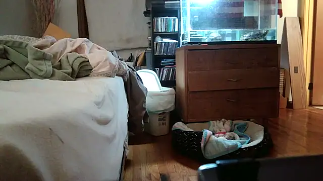 jumpingtomflash webcam