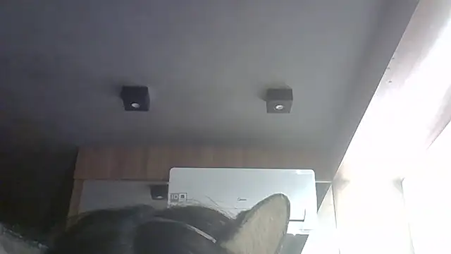 SkinnyKitten webcam
