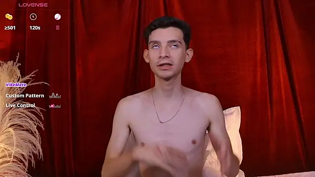 VicenteFerrer webcam