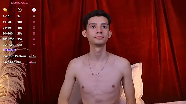 VicenteFerrer webcam