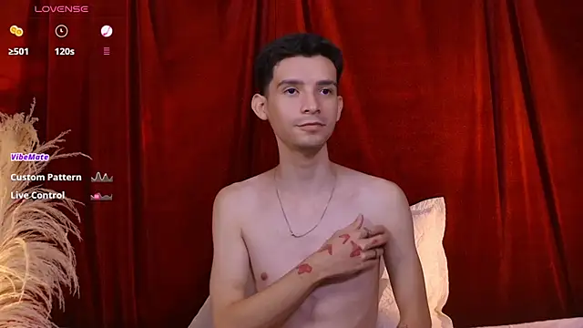 VicenteFerrer webcam