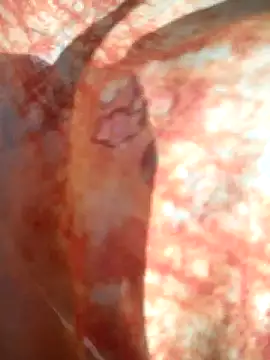 monika_thakurr (F teen) - #anal #anal-blondes #anal-doggy-style #anal-fingering #anal-indian #anal-petite #anal-teens #blondes #blondes-teens #cam2cam #cheapest-privates #cheapest-privates-indian #cheapest-privates-teens #doggy-style #fingering #fingering-indian #fingering-teens #hairy #hairy-blondes #hairy-teens #indian #indian-teens #mobile #mobile-teens #most-affordable-cam2cam #petite #petite-blondes #petite-indian #petite-teens #student #teens