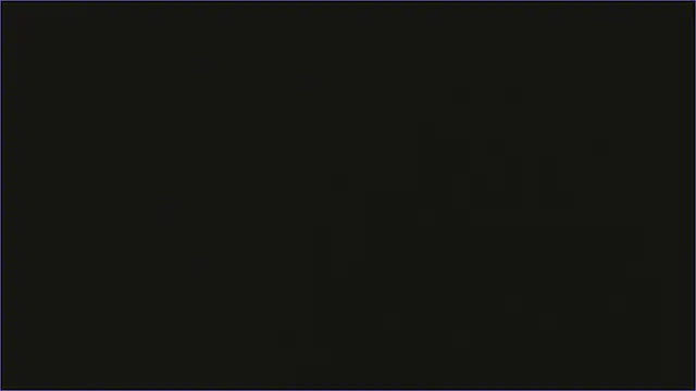 Geisha_Seniers webcam