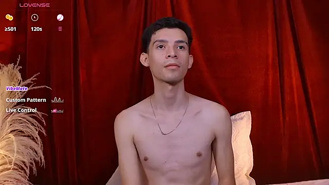 VicenteFerrer webcam