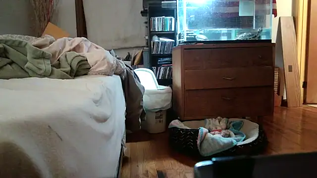 jumpingtomflash webcam