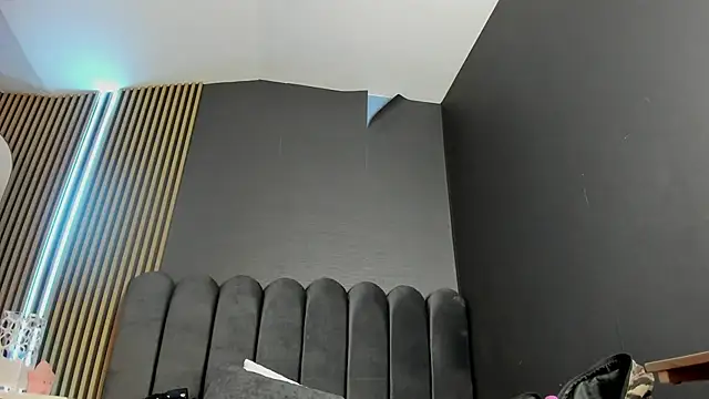 Nicolette_ks_ webcam