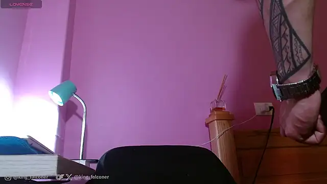 king_falconer webcam