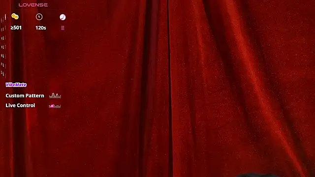 VicenteFerrer webcam