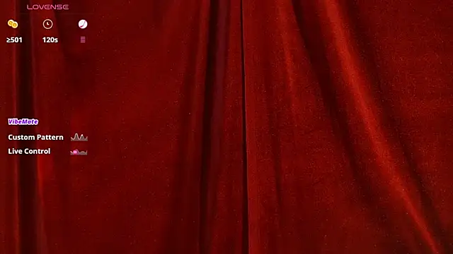 VicenteFerrer webcam