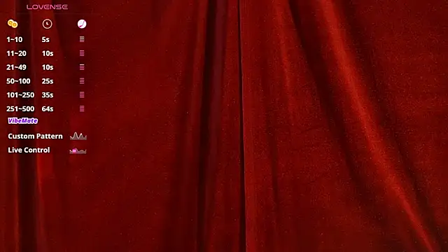 VicenteFerrer webcam