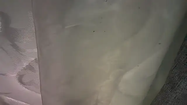 KungFuPanda001 webcam