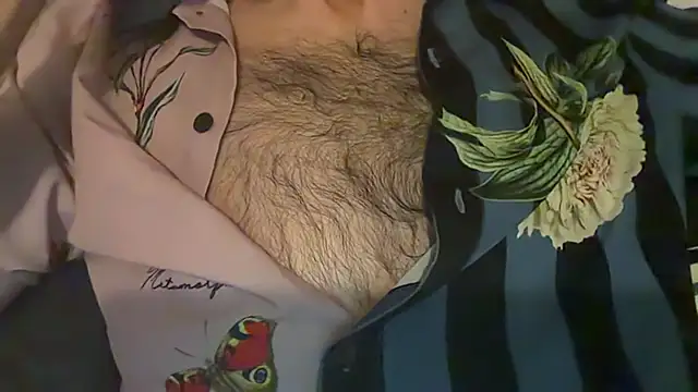 KungFuPanda001 webcam