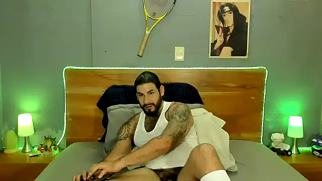 Prometeo-grizzly webcam