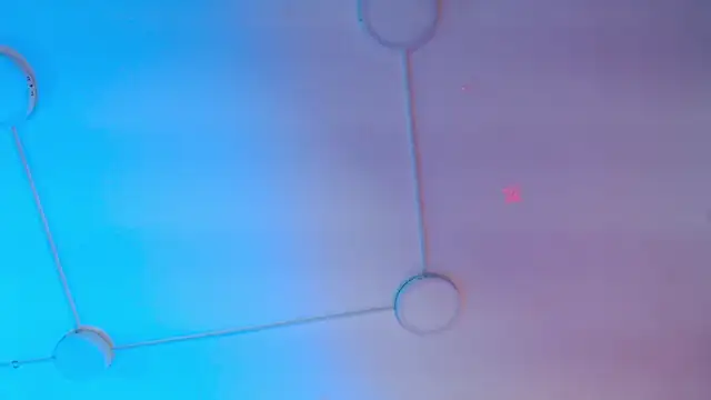 lunaember_cs - Lunaember_cs's free webcam - UK Sex Cams