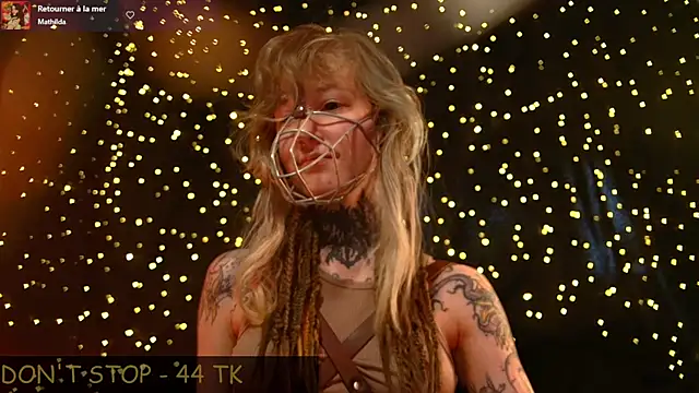 Littlespacemouse webcam