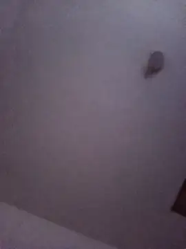 celeste_kiss_ webcam