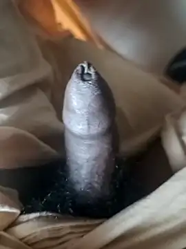 malluflash (Ask my age) - #brunettes #cam2cam #cheap-privates #daddies #dirty-talk #flashing #hairy #hd #indian #masturbation #medium #mobile #sexting #straight #uncut