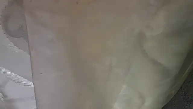 KungFuPanda001 webcam