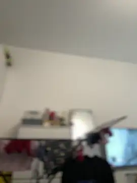 _CherryBloom_ webcam