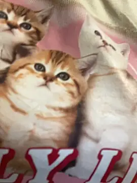 yourfavcouple_ - Yourfavcouple_'s free webcam - UK Sex Cams