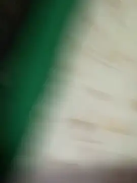 anonymous video chat SofiaFoster 