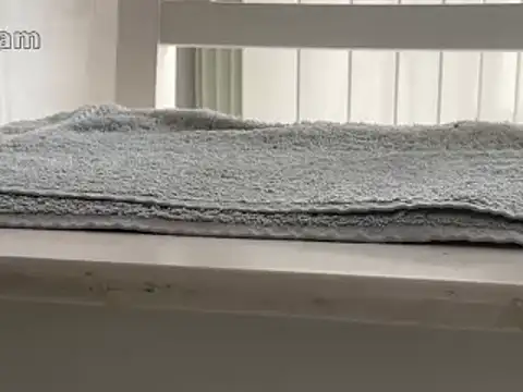 Preview of renegade1608