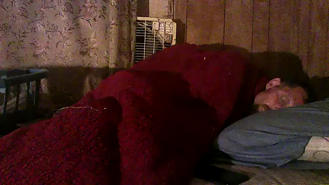 luke_thighwalker2469 live sex cam