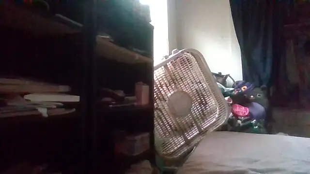 starlight1983 webcam