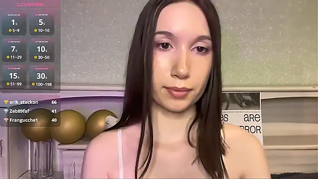 UpdatedRectus webcam