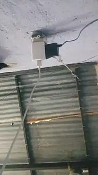 Isabel_and_Heckler webcam