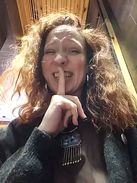 Exhibitionsplit webcam