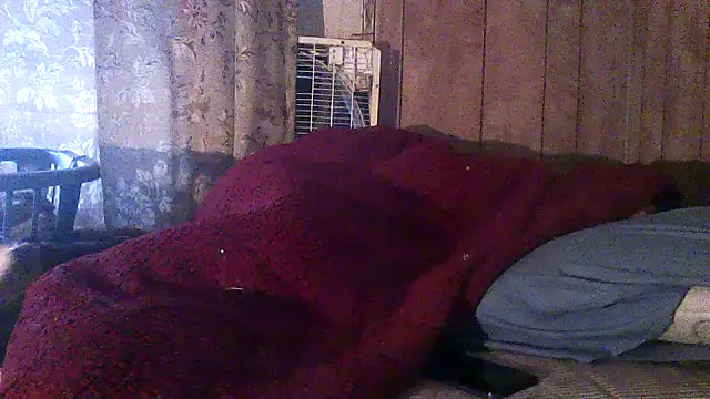 luke_thighwalker2469 webcam